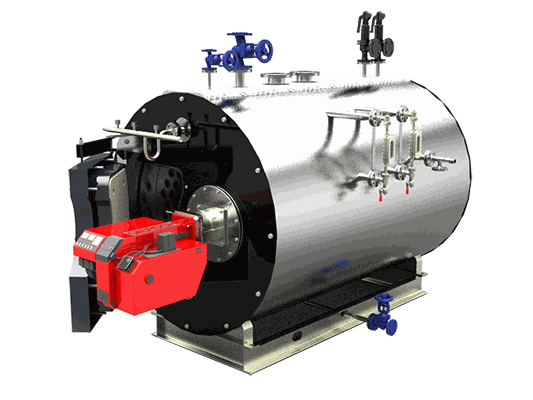 Fire-Tube Steam Boiler